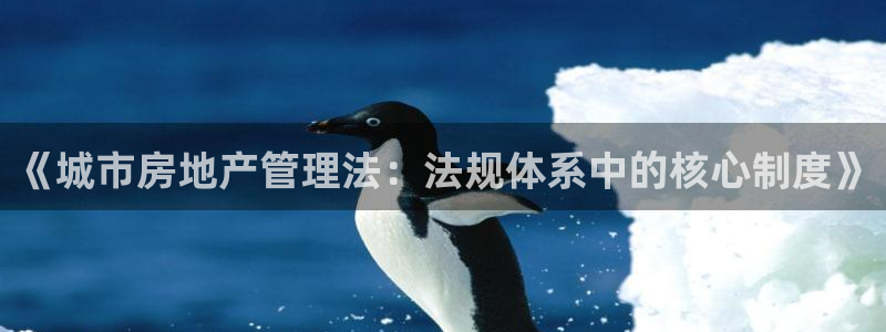 摩登4右7O667