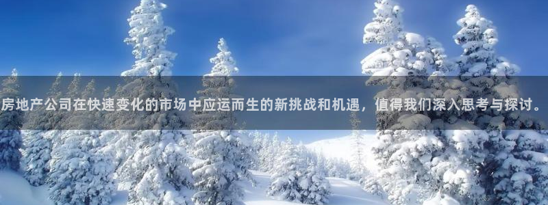 摩登7上级：房地产公司在快速变化的市场中应运而生的新挑战和机