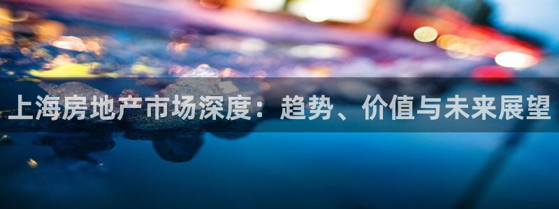 摩登7上级：上海房地产市场深度：趋势、价值与未来展望