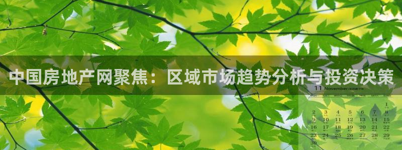 华彩7级摩登：中国房地产网聚焦：区域市场趋势分析与投资决策
