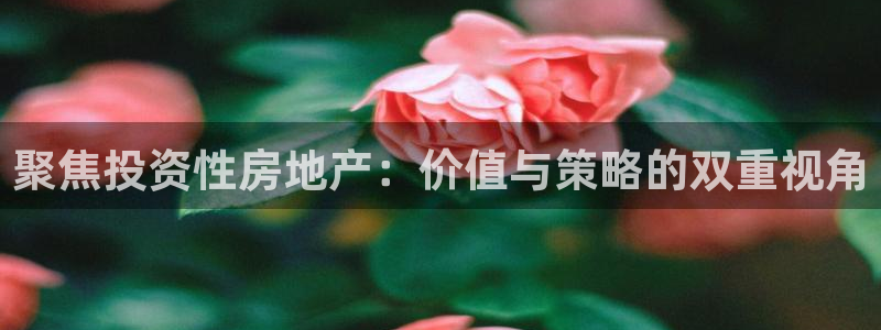 摩登7日7O667：聚焦投资性房地产：价值与策略的双重视角