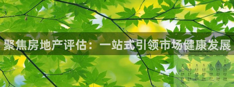 摩登7注册：聚焦房地产评估：一站式引领市场健康发展