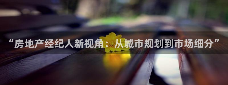 摩登7链接：“房地产经纪人新视角：从城市规划到市场细分”