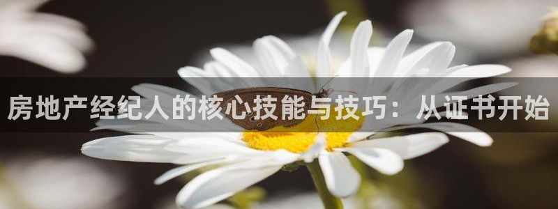 摩登7高阶：房地产经纪人的核心技能与技巧：从证书开始