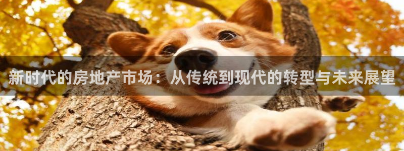 摩登7上级：新时代的房地产市场：从传统到现代的转型与未来展望