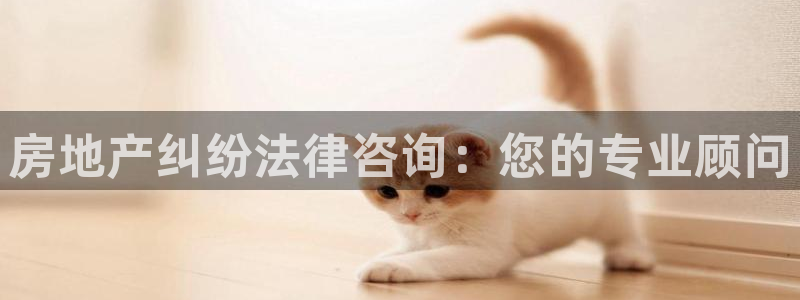 摩登7平台主管：房地产纠纷法律咨询：您的专业顾问