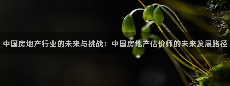 摩登7娱乐怎么样：中国房地产行业的未来与挑战：中国房地产估价