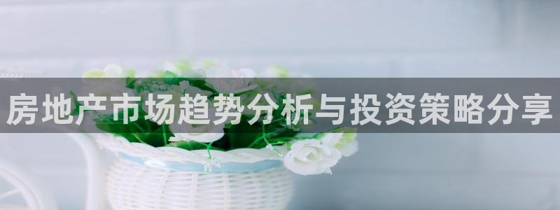 摩登7去3299O7：房地产市场趋势分析与投资策略分享