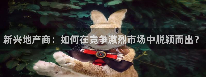 摩登7地7O667：新兴地产商：如何在竞争激烈市场中脱颖而出