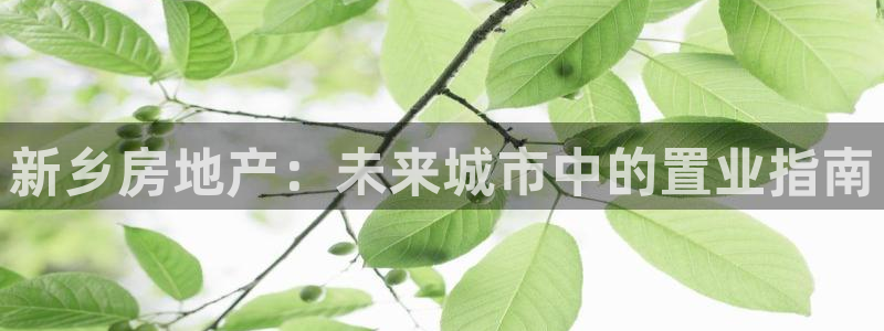 摩登7平台总代理：新乡房地产：未来城市中的置业指南