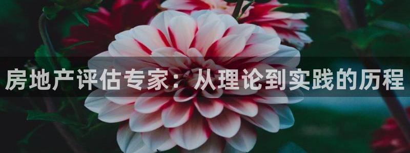 摩登3冯7O667：房地产评估专家：从理论到实践的历程