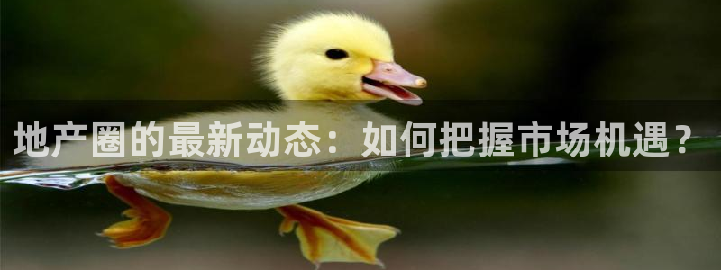 摩登7代理：地产圈的最新动态：如何把握市场机遇？