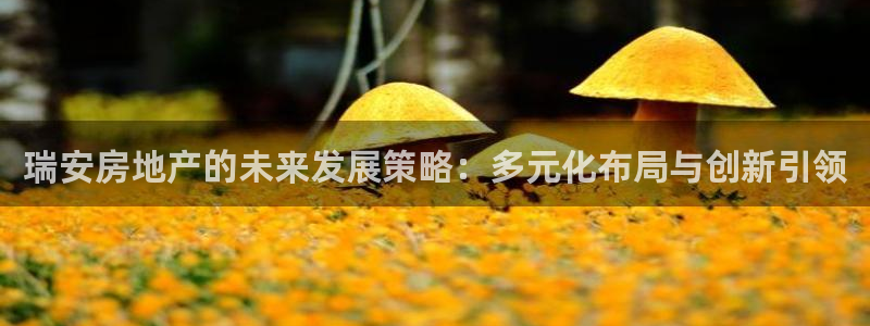 摩登3吕7O667：瑞安房地产的未来发展策略：多元化布局与创