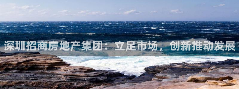 摩登4前7O667：深圳招商房地产集团：立足市场，创新推动发