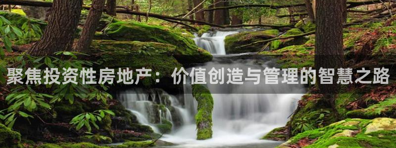 摩登5左7O667：聚焦投资性房地产：价值创造与管理的智慧之