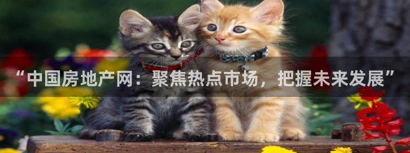 M摩登7：“中国房地产网：聚焦热点市场，把握未来发展”
