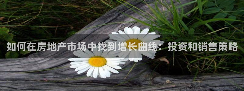 摩登7平台登陆：如何在房地产市场中找到增长曲线：投资和销售策