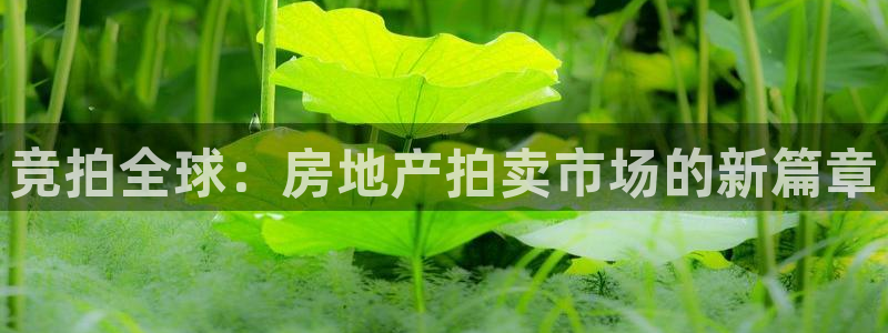 摩登招商7约22650：竞拍全球：房地产拍卖市场的新篇章