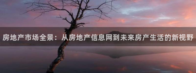 摩登平台视7O777：房地产市场全景：从房地产信息网到未来房
