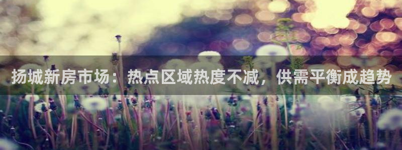 摩登世界7：扬城新房市场：热点区域热度不减，供需平衡成趋势