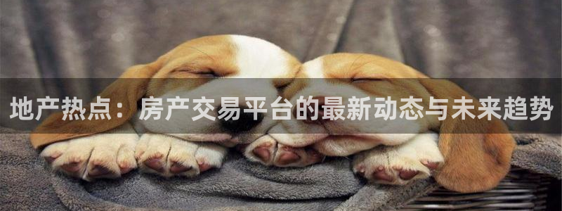 摩登7下：地产热点：房产交易平台的最新动态与未来趋势