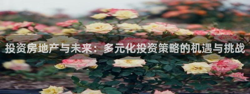 摩登6吕7O667：投资房地产与未来：多元化投资策略的机遇与