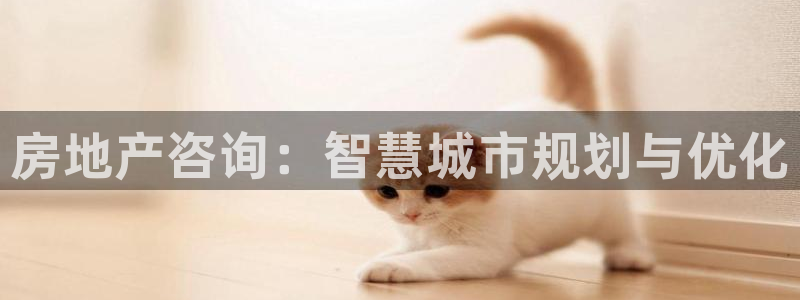 摩登平台除7O777：房地产咨询：智慧城市规划与优化