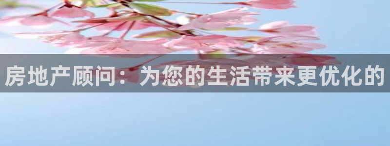 摩登招商7佳22650：房地产顾问：为您的生活带来更优化的