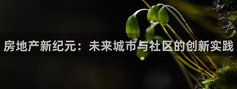 华彩7级摩登：房地产新纪元：未来城市与社区的创新实践
