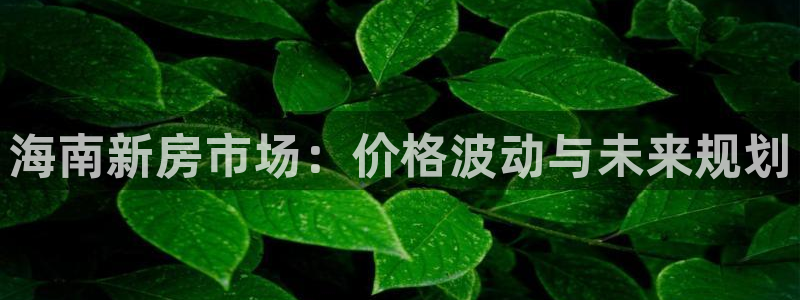 摩登7登录摇333OO：海南新房市场：价格波动与未来规划