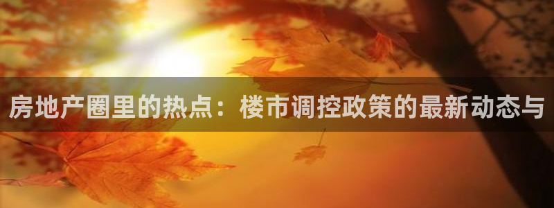 摩登 7：房地产圈里的热点：楼市调控政策的最新动态与