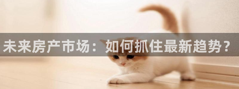 摩登天空7：未来房产市场：如何抓住最新趋势？