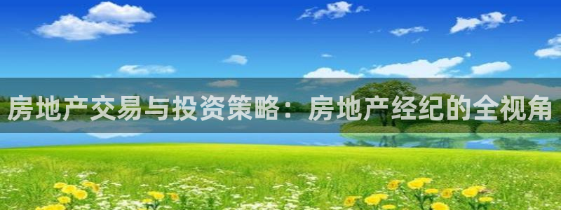 摩登7app下载：房地产交易与投资策略：房地产经纪的全视角