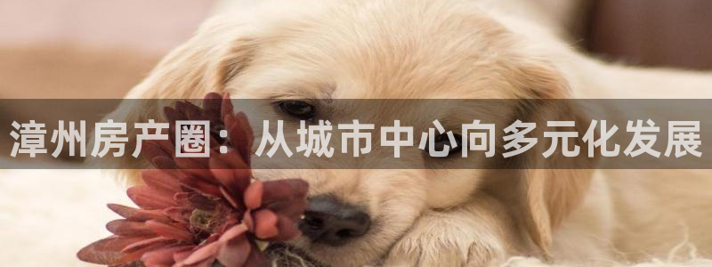 摩登7平台涨7O777：漳州房产圈：从城市中心向多元化发展