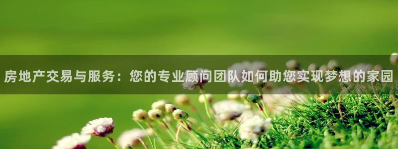 摩登3地7O667：房地产交易与服务：您的专业顾问团队如何助