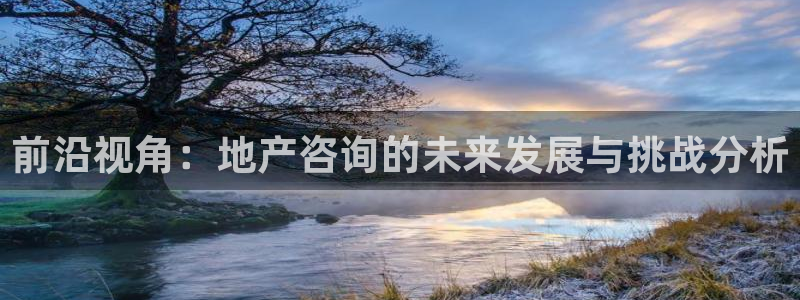 摩登7属于什么平台：前沿视角：地产咨询的未来发展与挑战分析