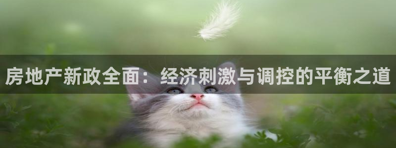 摩登7娱乐平台4：房地产新政全面：经济刺激与调控的平衡之道
