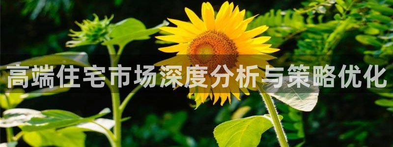 摩登7app官网下载：高端住宅市场深度分析与策略优化