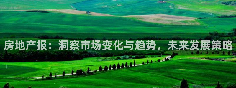 摩登7去3299O7：房地产报：洞察市场变化与趋势，未来发展