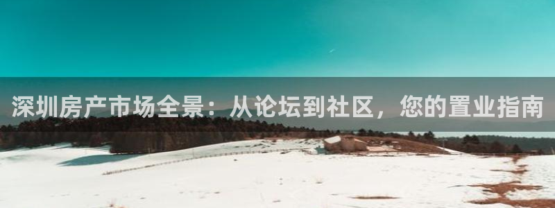 摩登7注册qv382223：深圳房产市场全景：从论坛到社区，