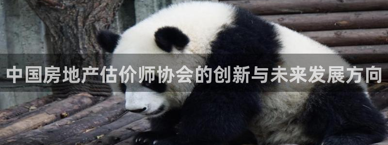 a7s2摩登：中国房地产估价师协会的创新与未来发展方向