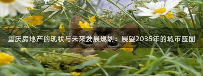 摩登招商尢首选金手指7：重庆房地产的现状与未来发展规划：展望