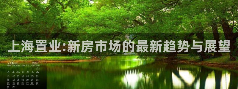 摩登口碑7：上海置业:新房市场的最新趋势与展望
