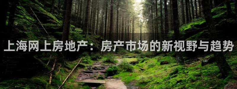 摩登7平台信誉：上海网上房地产：房产市场的新视野与趋势